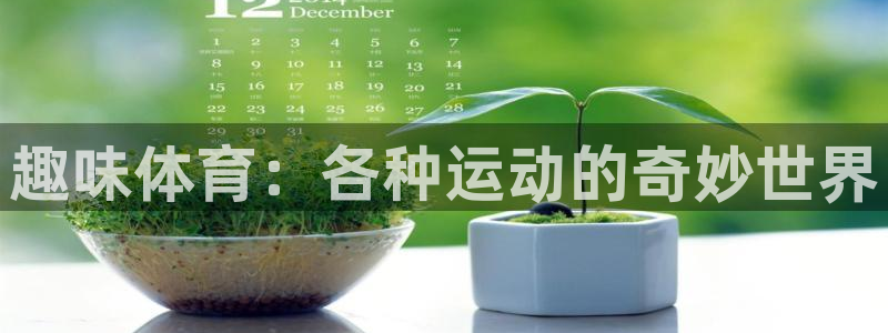 MK体育官方正版app官方:趣味体育:各种运动的奇妙世界