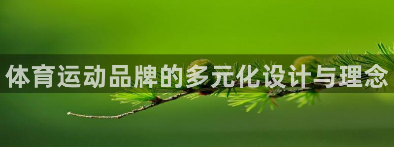 MK体育官网下载平台注册:体育运动品牌的多元化设计与理念