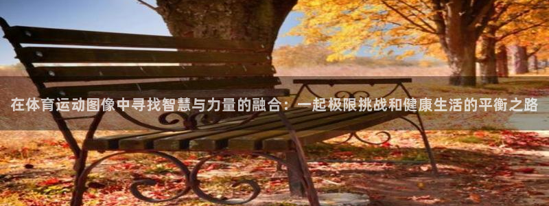 MK体育官网下载是干嘛的公司:在体育运动图像中寻找智慧与力量